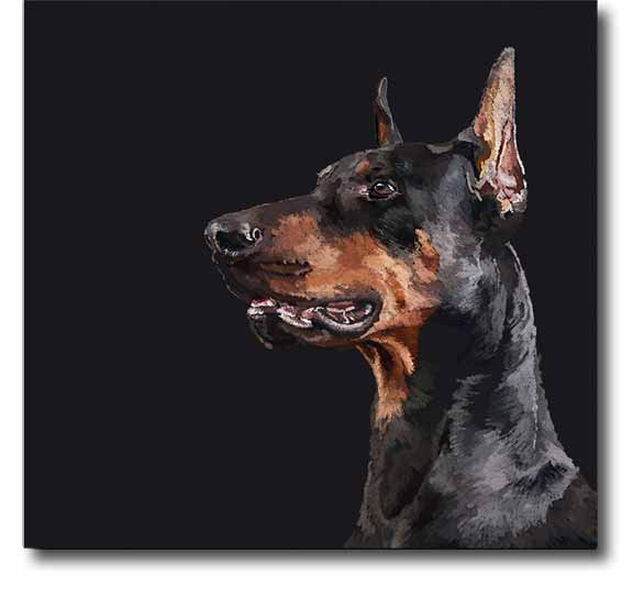 collections/Dogs-png.png