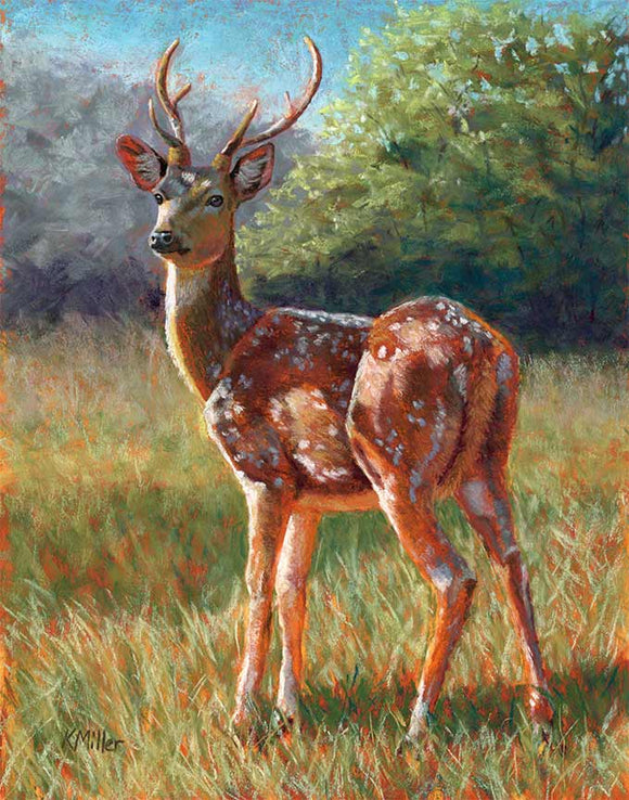 Original pastel portrait of a chital deer in the bright morning sun rendered in a contemporary style using bold strokes and bright colors by award winning artist Kathie Miller. Prints available.