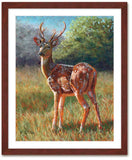 Pastel portrait print of a chital deer in the bright morning sun with a mahogany frame and 2” white mat. Rendered in a contemporary style using bold strokes and bright colors by award winning artist Kathie Miller.