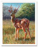 Pastel portrait print of a chital deer in the bright morning sun. Rendered in a contemporary style using bold strokes and bright colors by award winning artist Kathie Miller.