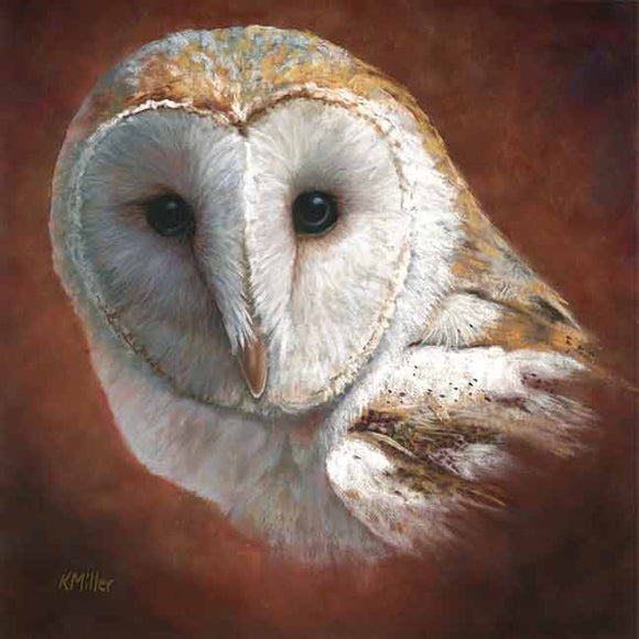 12” x 12” original pastel portrait of a barn owl rendered in a realistic style by award winning artist Kathie Miller. Original sold unframed. Prints available.