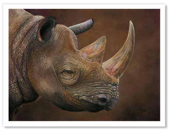 Pastel portrait prints of a black rhino. Rendered in a realistic style by award winning artist Kathie Miller.