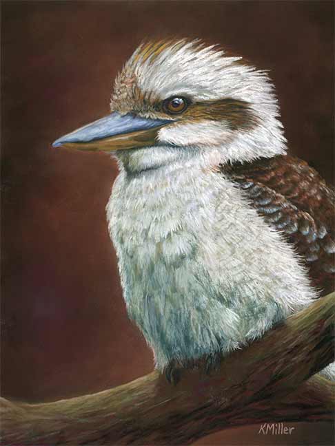9” x 12” original pastel portrait of a Blue Winged Kookaburra rendered in a realistic style by award winning artist Kathie Miller. Original sold unframed. Prints available.
