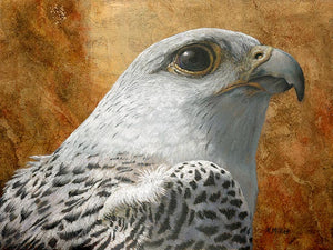 12” x 9” original pastel painting of a white gyrfalcon on gold leaf background rendered in a realistic style by award winning artist Kathie Miller. Originals sold unframed. Prints available.