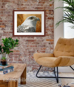 Pastel painting print of a a white gyrfalcon on gold leaf background with a mahogany frame and 2” white mat hanging in a living room.  Rendered in a realistic style by award winning artist Kathie Miller.