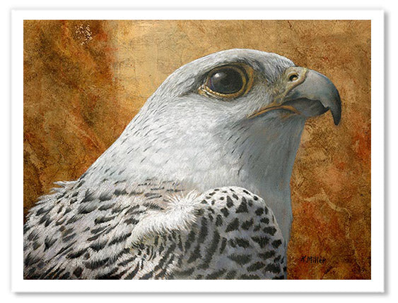 Pastel painting print of a a white gyrfalcon on gold leaf background. Rendered in a realistic style by award winning artist Kathie Miller.