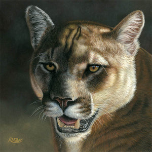 12" x 12" Original pastel portrait of a cougar by award winning artist Kathie Miller. Prints available.