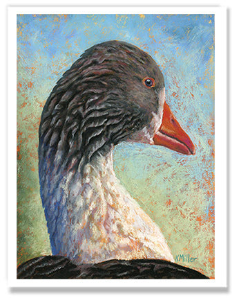 Fred - Greylag Goose | Fine Art Prints