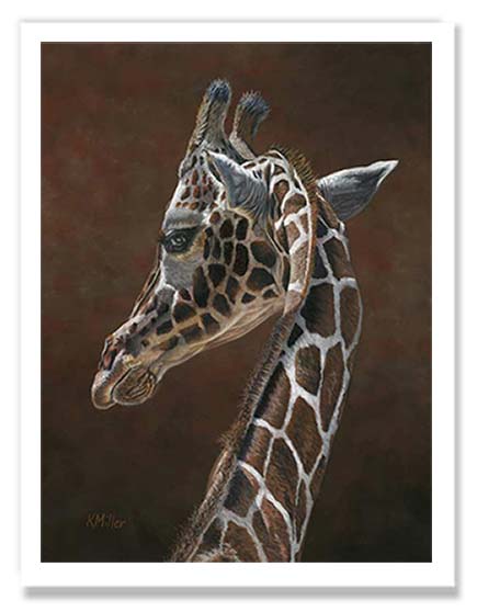 Pastel portrait painting prints of giraffe. Rendered in a realistic style by award winning artist Kathie Miller.