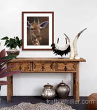 Pastel painting print of a young giraffe with a mahogany frame and 2” white mat hanging over a side bar.  Rendered in a realistic style by award winning artist Kathie Miller.