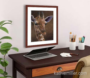 Pastel painting print of a young giraffe with a mahogany frame and 2” white mat hanging in a home office.  Rendered in a realistic style by award winning artist Kathie Miller.