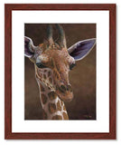 Pastel painting print of a young giraffe with a mahogany frame and 2” white mat. Rendered in a realistic style by award winning artist Kathie Miller.