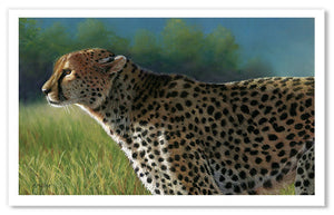 Pastel portrait print of a cheetah in the bright morning sun. Rendered in a photo realistic style by award winning artist Kathie Miller.