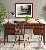 Pastel portrait print of a Wood Duck in the morning mist with a mahogany frame and 2” white mat hanging in a home office.  Rendered in a realistic style by award winning artist Kathie Miller.
