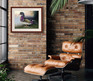 Pastel portrait print of a Wood Duck in the morning mist with a mahogany frame and 2” white mat hanging in masculine sitting area.  Rendered in a realistic style by award winning artist Kathie Miller.