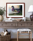 Pastel portrait print of a Wood Duck in the morning mist with a mahogany frame and 2” white mat hanging in entrance hall.  Rendered in a realistic style by award winning artist Kathie Miller.