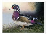 Pastel portrait print of  a Wood Duck in the morning mist. Rendered in a realistic style by award winning artist Kathie Miller.