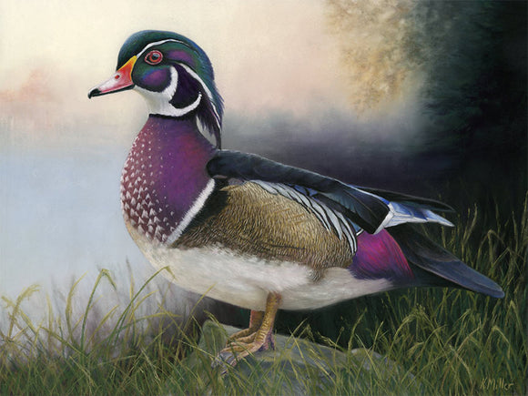 16” x 12” Original pastel portrait of a Wood Duck in the morning mist rendered in a realistic style by award winning artist Kathie Miller. Prints available