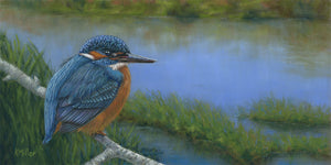 14 x 7” original pastel painting of a Common Kingfisher overlooking a river rendered in a realistic style by award winning artist Kathie Miller. Prints available