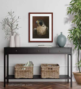 Pastel painting print of  a Peregrine Falcon with a mahogany frame and 2” white mat hanging over a black cradenza.  Rendered in a realistic style by award winning artist Kathie Miller.