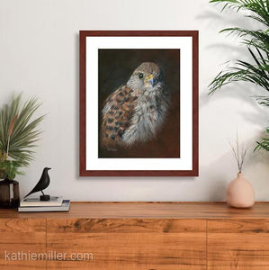 Pastel painting print of an American Kestrel with a mahogany frame and 2” white mat hanging over a side bar.  Rendered in a realistic style by award winning artist Kathie Miller.