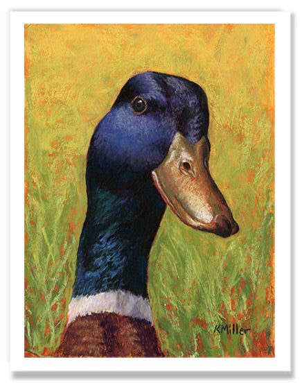 Pastel portrait of a mallard duck. Rendered in a contemporary style using bold strokes and bright colors by award winning artist Kathie Miller.