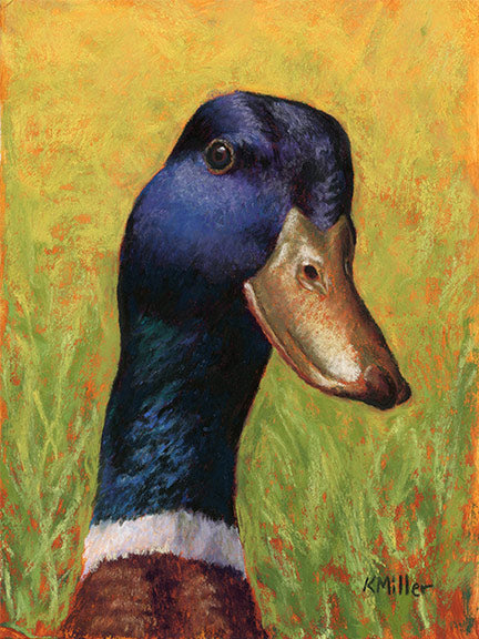 Original pastel portrait of a mallard duck rendered in a contemporary style using bold strokes and bright colors by award winning artist Kathie Miller. Prints available
