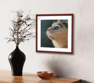 Sara - Cat Portrait | Fine Art Prints