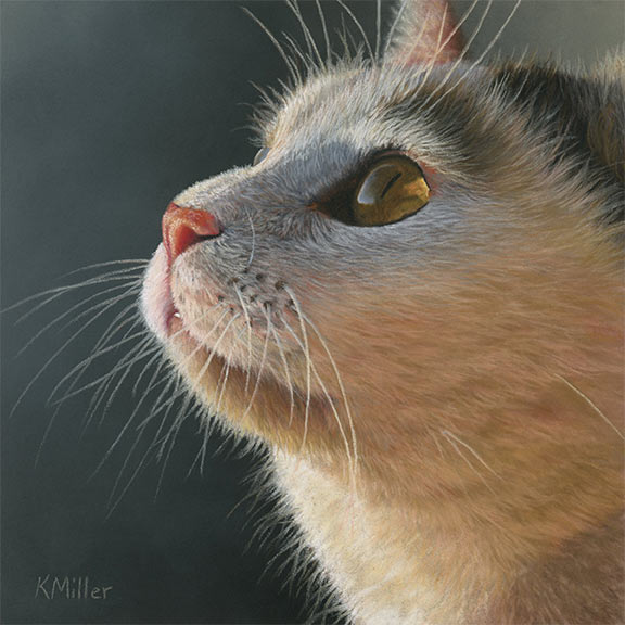 Sara - Cat Portrait Original Pastel 8
