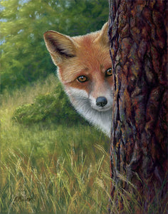 Original pastel portrait of a shy fox peeking from behind a tree rendered in a realistic style by award winning artist Kathie Miller. Prints available