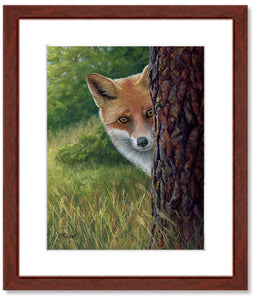 Pastel portrait print of  a shy fox peeking from behind a tree with a mahogany frame and 2” white mat. Rendered in a realistic style by award winning artist Kathie Miller.