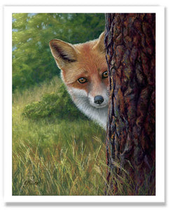 Pastel portrait print of  a shy fox peeking from behind a tree. Rendered in a realistic style by award winning artist Kathie Miller.
