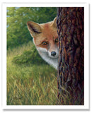 Pastel portrait print of  a shy fox peeking from behind a tree. Rendered in a realistic style by award winning artist Kathie Miller.