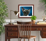 Pastel portrait print of a Siamese kitten with a mahogany frame and 2” white mat hanging in a home office.  Rendered in a realistic style by award winning artist Kathie Miller.