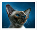 Pastel portrait print of  a Siamese kitten. Rendered in a realistic style by award winning artist Kathie Miller.