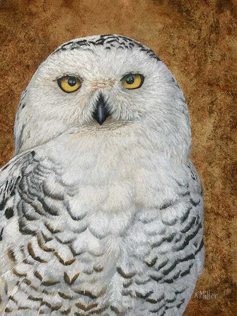 Snowy Owl on Gold Leaf Original Pastel 12