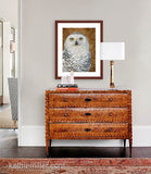 Pastel painting print of a snowy owl on gold leaf background with a mahogany frame and 2” white mat hanging in a entrance hall.  Rendered in a realistic style by award winning artist Kathie Miller.