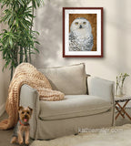 Pastel painting print of a snowy owl on gold leaf background with a mahogany frame and 2” white mat hanging in a living room.  Rendered in a realistic style by award winning artist Kathie Miller.