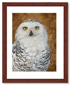 Pastel painting print of a snowy owl on gold leaf background with a mahogany frame and 2” white mat. Rendered in a realistic style by award winning artist Kathie Miller.