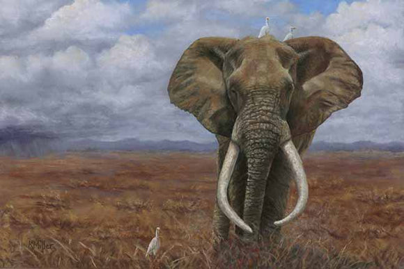 18” x 12” original pastel painting of an African elephant in a vast landscape rendered in a realistic style by award winning artist Kathie Miller. Originals sold unframed. Prints available.