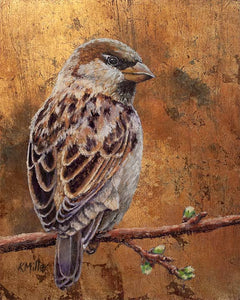 8 “x 10” original pastel painting of a house sparrow on gold leaf rendered in a realistic style by award winning artist Kathie Miller. Prints available
