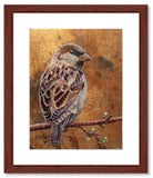 Pastel painting print of a house sparrow on gold leaf with a mahogany frame and 2” white mat. Rendered in a realistic style by award winning artist Kathie Miller.
