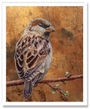 Pastel painting print of a house sparrow on gold leaf. Rendered in a realistic style by award winning artist Kathie Miller.