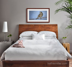 Pastel portrait print of a Yellow Rumped Warbler on a barbed wire fence with a mahogany frame and 2” white mat hanging in a natural elements bedroom.  Rendered in a realistic style by award winning artist Kathie Miller.