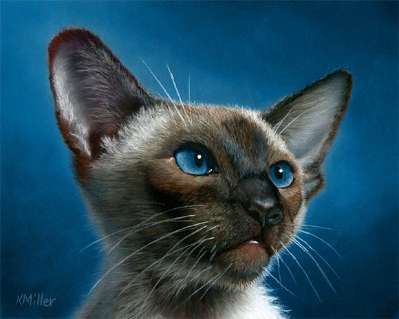 Original pastel portrait of a Siamese kitten rendered in a realistic style by award winning artist Kathie Miller. Prints available