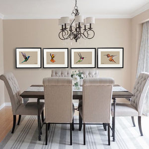 Hummingbird painting collection by wildlife artist Kathie Miller.  Prints available. 