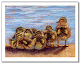 Pastel portrait print of 7 ducklings by the water. Rendered in a contemporary style using bold strokes and bright colors by award winning artist Kathie Miller.