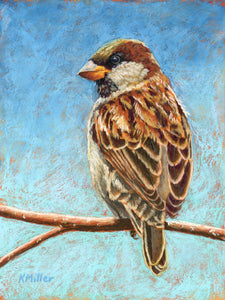 Original 6” x  8” pastel portrait of a house sparrow against a bright blue sky by award winning artist Kathie Miller. Contemporary style using bold strokes and bright colors. Prints available.
