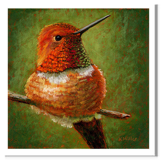 “A Moment of Rest-Rufus Hummingbird” Pastel portrait of a Rufus hummingbird in a contemporary style with pastels using bold strokes and bright colors by award winning artist Kathie Miller.