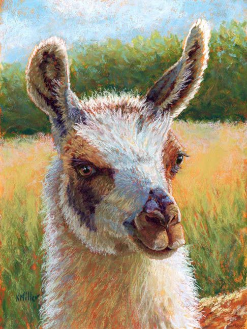 Original 9” x 12” pastel portrait of an alpaca on a bright sunny day. Rendered in a contemporary style using bold strokes and bright colors by award winning artist Kathie Miller.  Prints available.